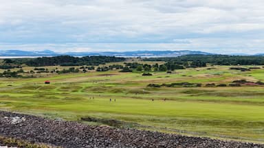 Aerial View of Golfers Walking on Carnoustie Links Under Overcast Sky