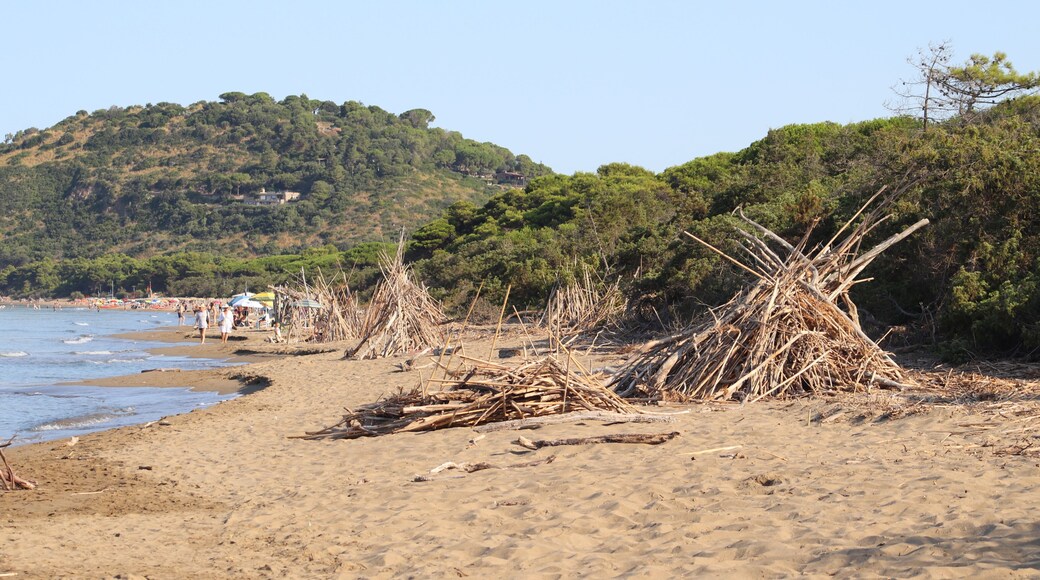 Beautiful scenic view of a wild and empty sandy beach in Albinia, Maremma region, Grosseto province, Tuscany, Italy. Blue sea and Mediterranean coastline under a clear sky.