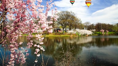 The Cherry Blossom Festival in New Jersey
