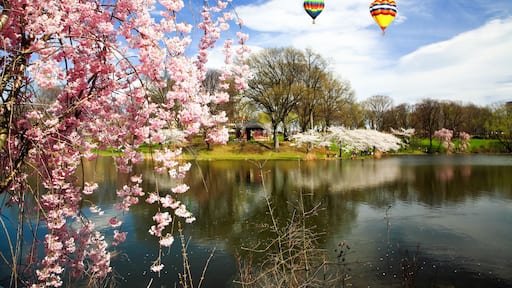 サウス プレーンフィールド