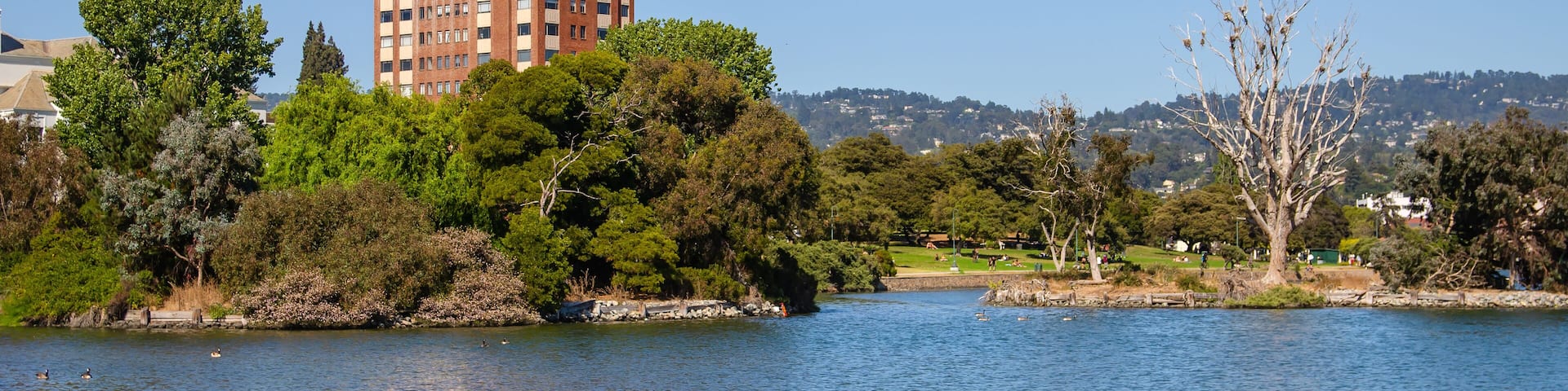 A lake with ducks, a park, and a distinctive building with a unique architectural style.