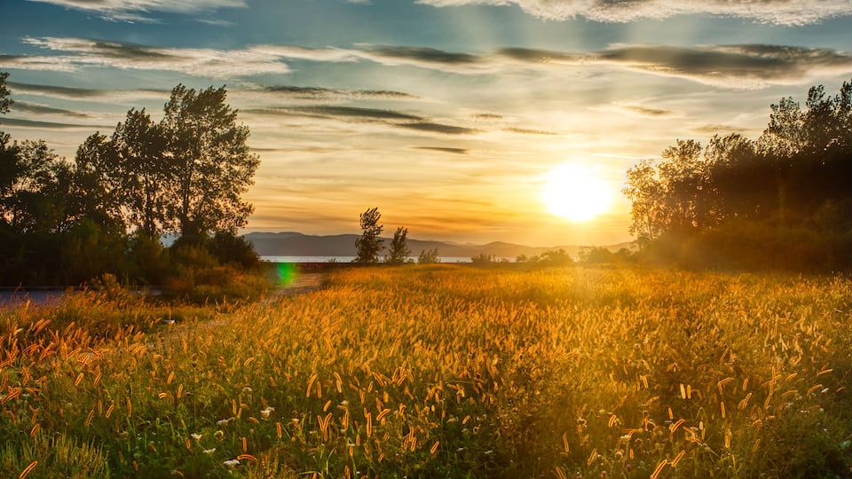 I was racing to catch the sunset before the sun went behind the distant mountains, and I saw this. I slammed the breaks and took it still straddling my bike.
#Adventure