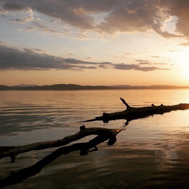 A sunset over a calm lake with silhouetted trees and distant mountains.