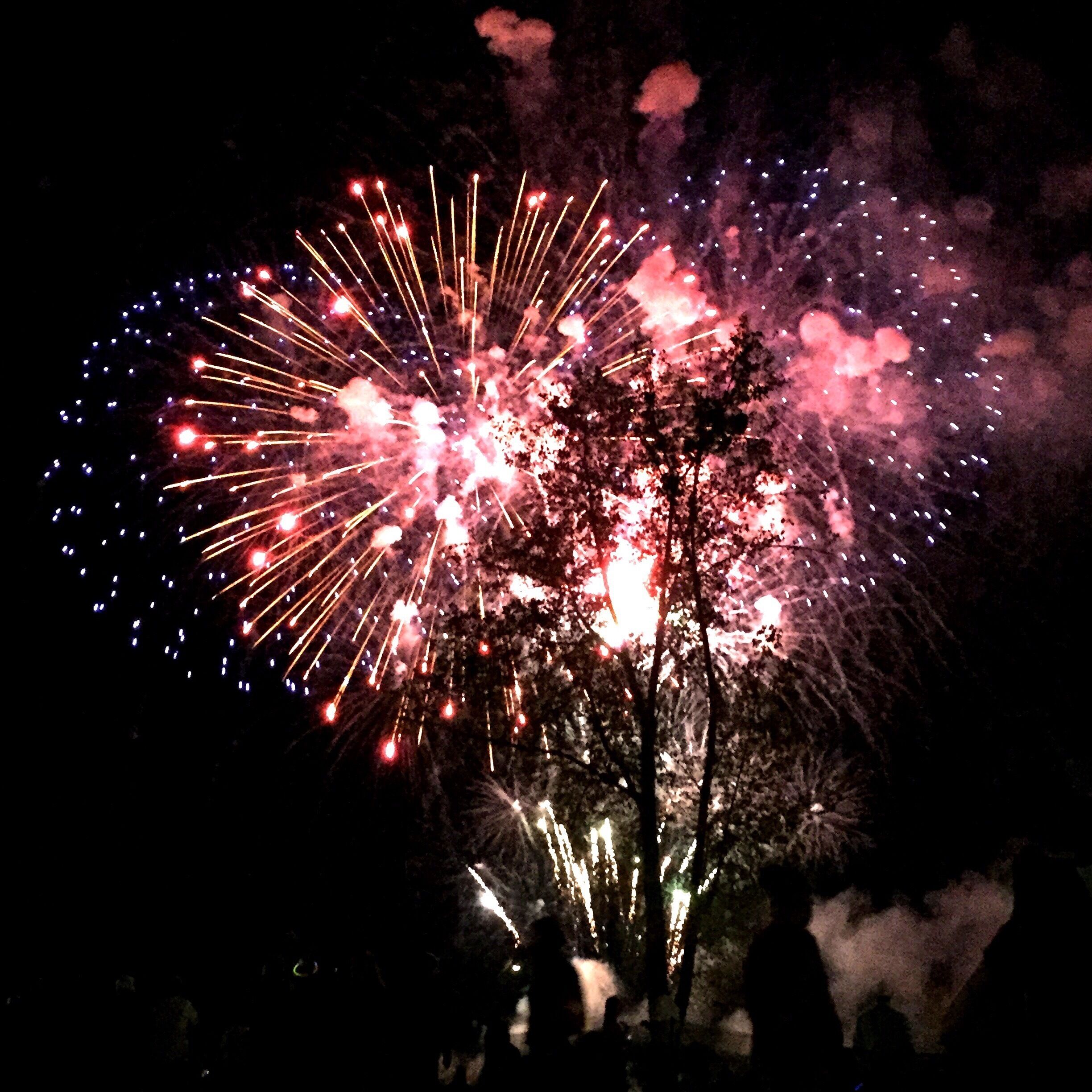 The best fireworks display I've ever seen!