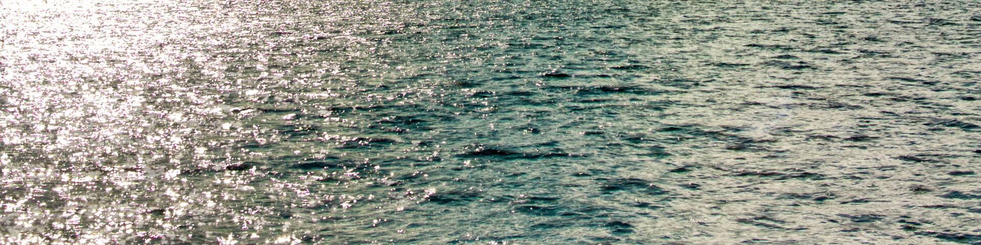 Just the right lighting I guess
#Trovember