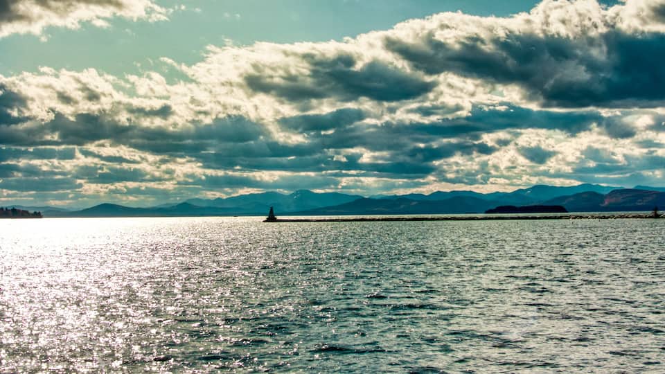 Just the right lighting I guess
#Trovember