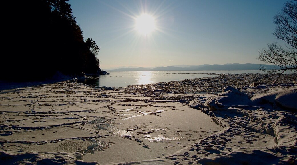 Everyone needs to see Lake Champlain in the winter