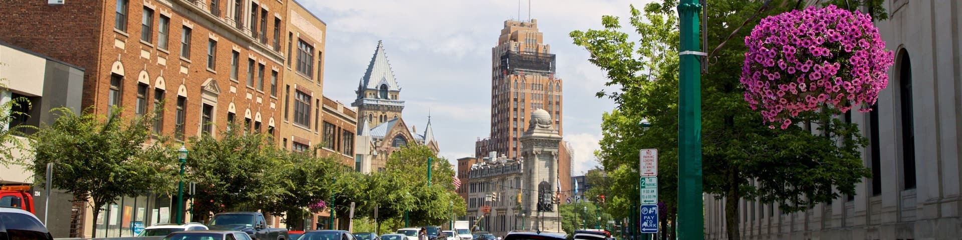 Syracuse which includes a city and flowers