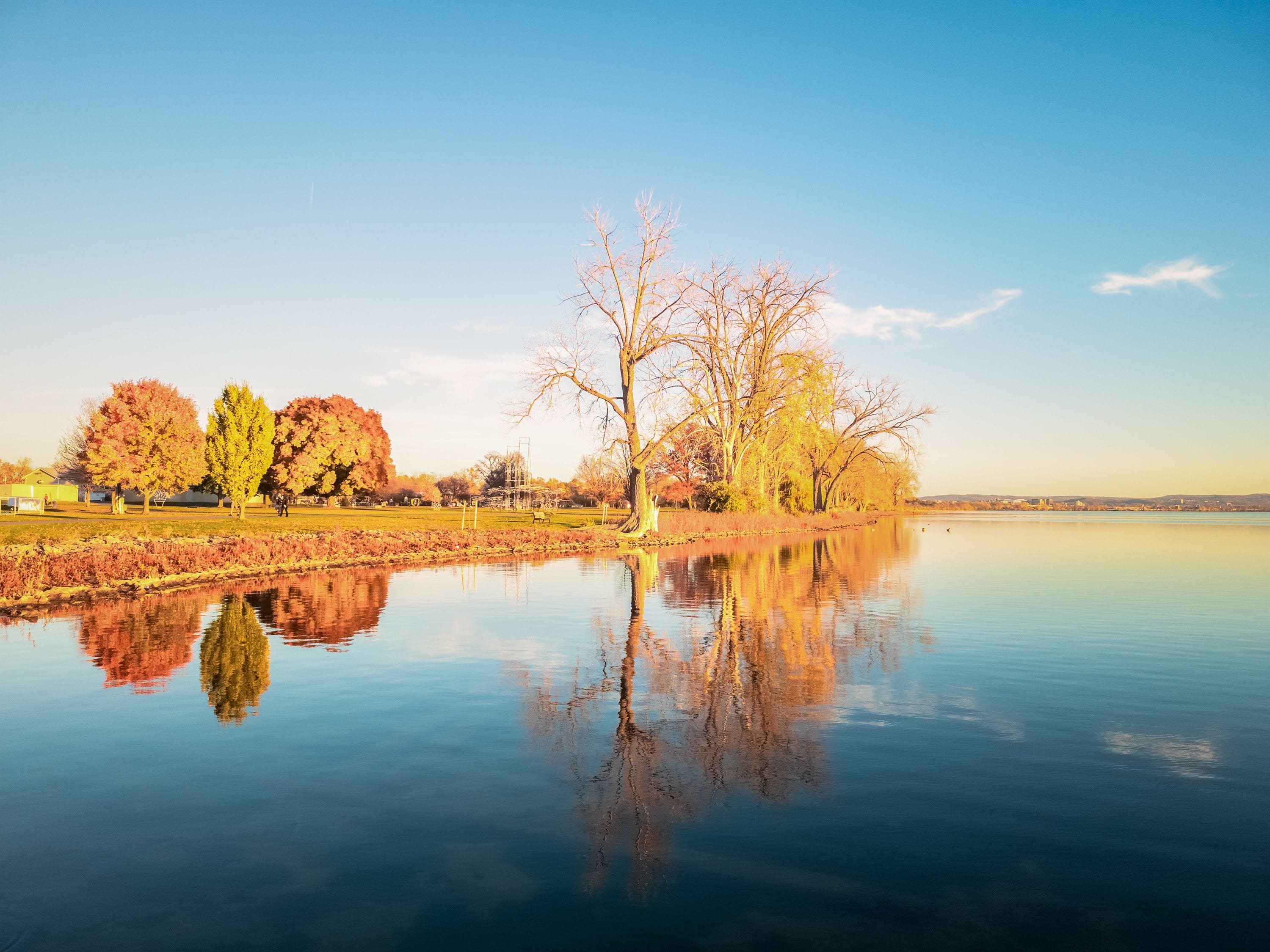 A calm lake with reflections of trees and a clear sky.