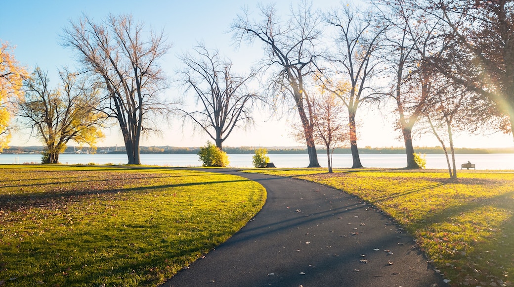 A curved path in a park with trees and a lake in the background.