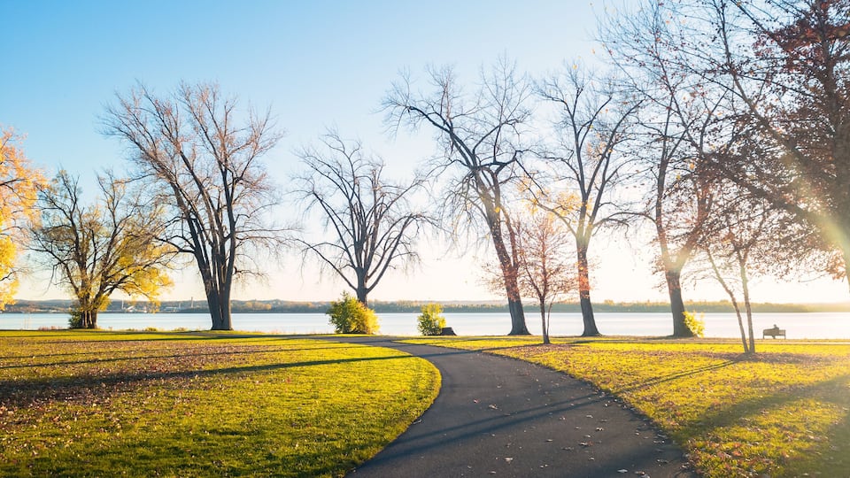 A curved path in a park with trees and a lake in the background.