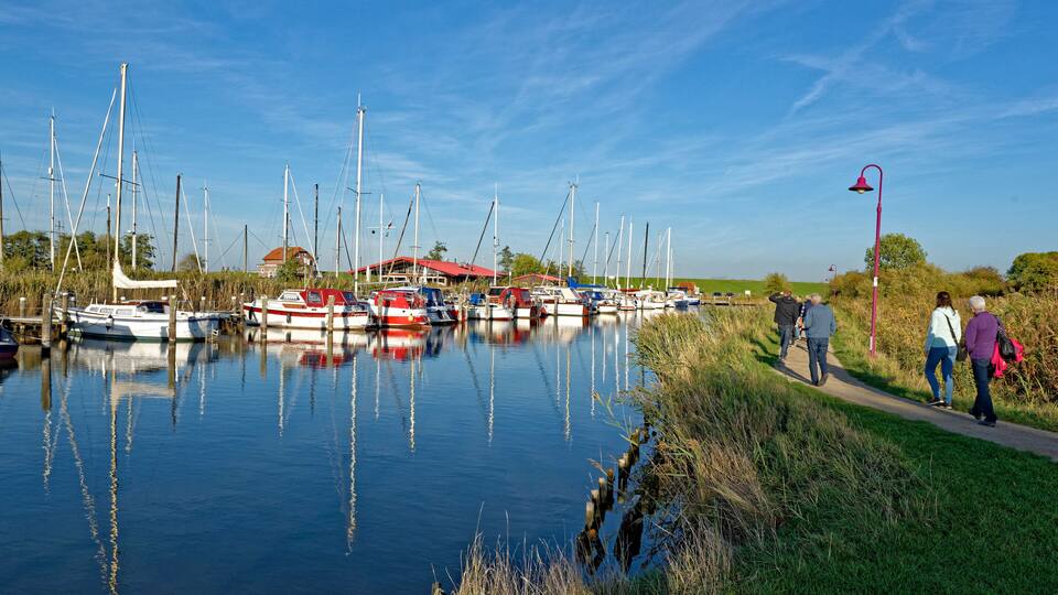 A marina with several sailboats docked, a red-roofed building, and a walking path along the water's edge.
