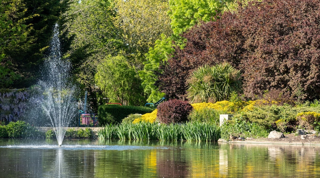 Ducks in the duck pond at Pinner Memorial Park, Pinner, Middlesex, north west London UK, photographed on a sunny spring day. Colourful trees and plants around the lake are reflected in the water.