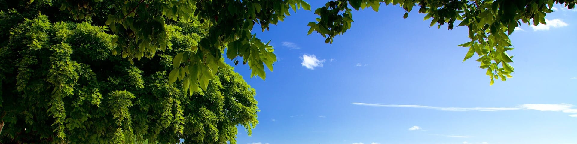 Flic-en-Flacq mettant en vedette plage de sable