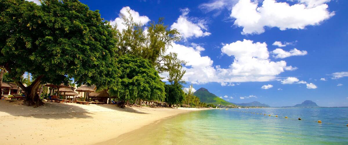 A beach with clear turquoise water, sandy shore, and lush green trees.