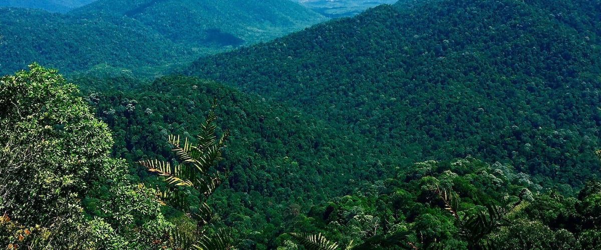The reward after a 3-hour hike up. A breathtaking view of green and blue. Fresh air and chirping birds. 
Allocate at least 5-6 hours for total hike.
