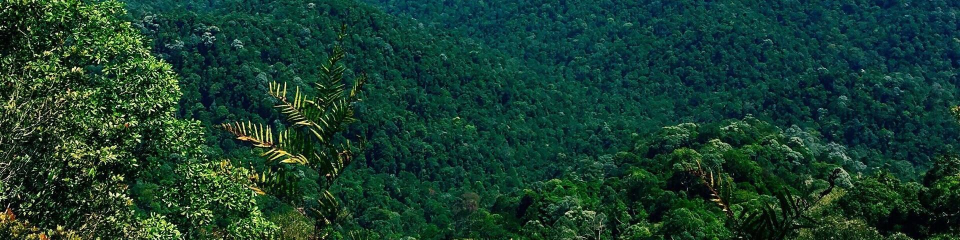 The reward after a 3-hour hike up. A breathtaking view of green and blue. Fresh air and chirping birds.
Allocate at least 5-6 hours for total hike.