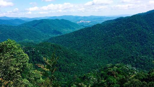 The reward after a 3-hour hike up. A breathtaking view of green and blue. Fresh air and chirping birds.
Allocate at least 5-6 hours for total hike.