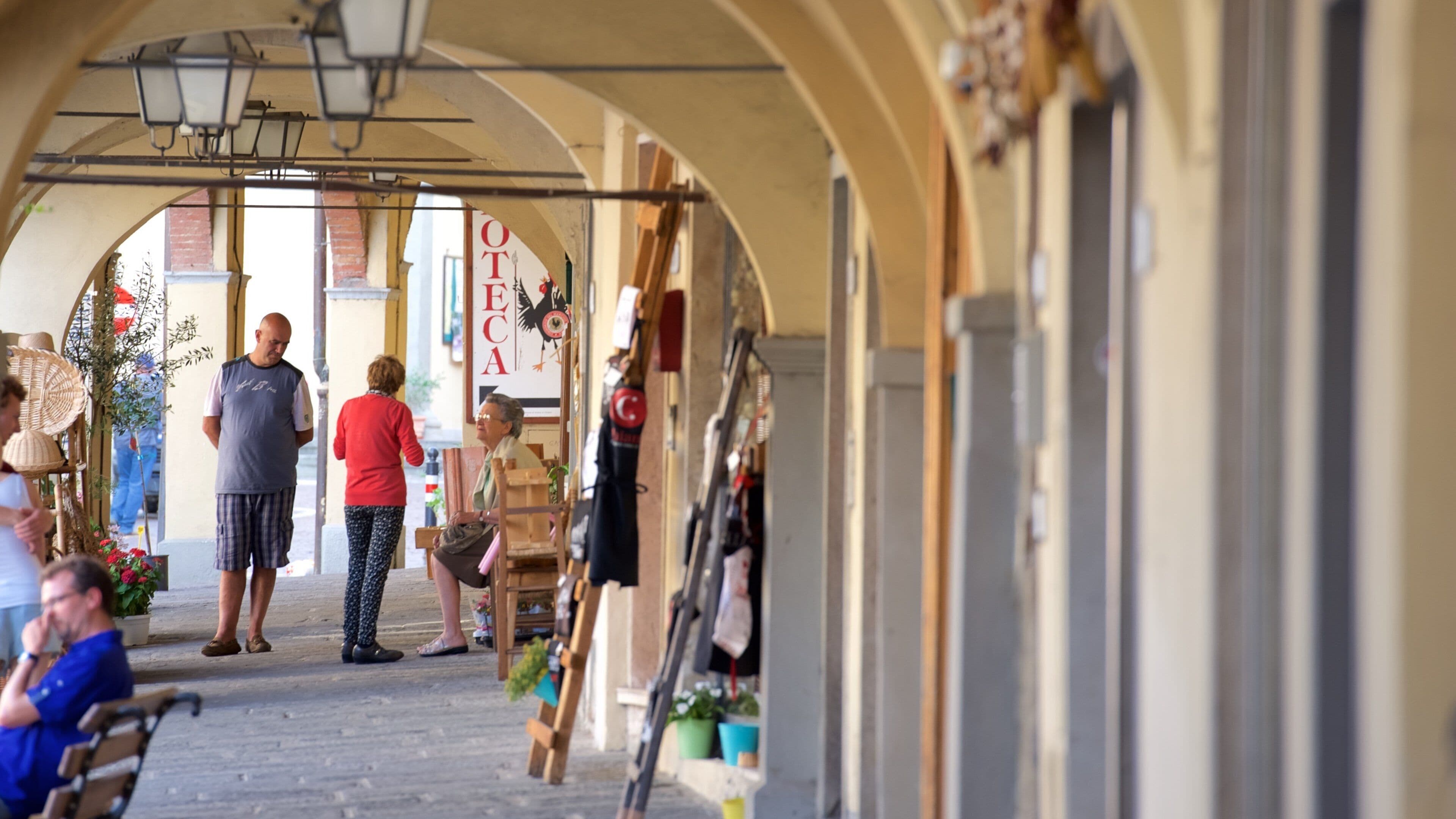 Greve in Chianti featuring markets and a small town or village