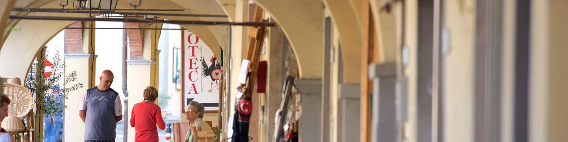 Greve in Chianti showing a small town or village and markets