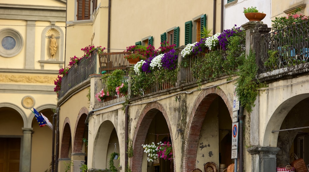 Greve in Chianti featuring a small town or village and flowers