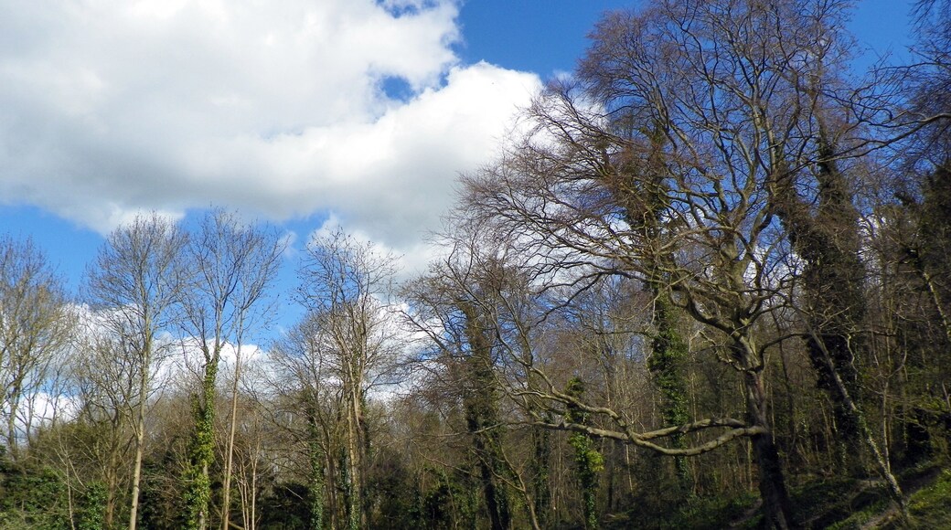 Weston Hills Local Nature Reserve, Baldock, Hertfordshire.