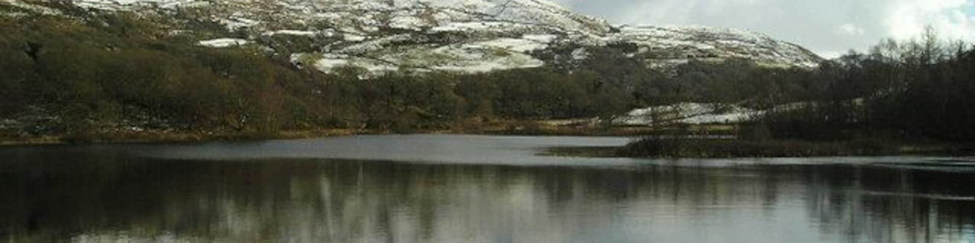 Llyn Tecwyn isaf March 06