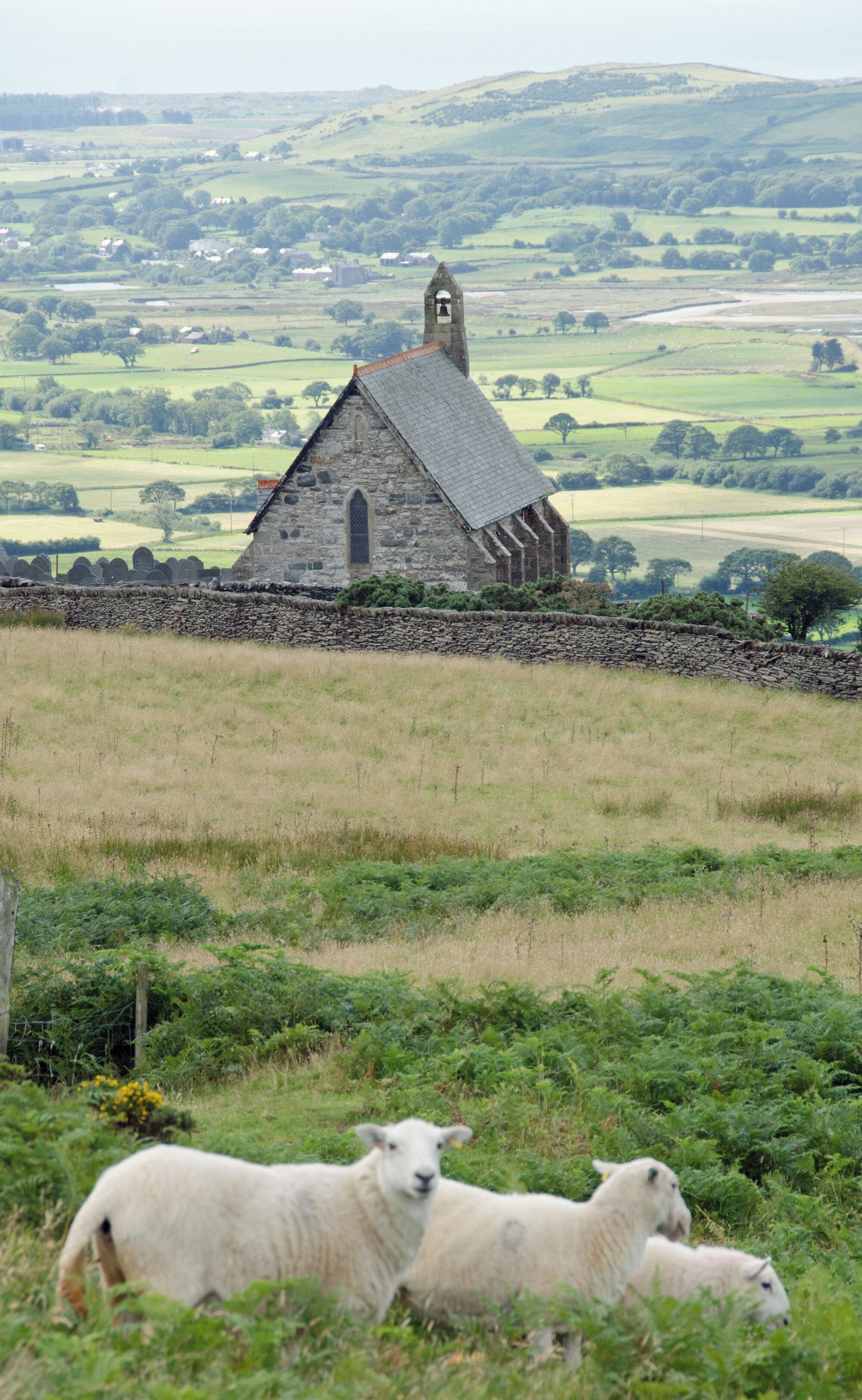 Uma igreja de pedra com um campanário, rodeada por campos verdes e ovelhas a pastar.