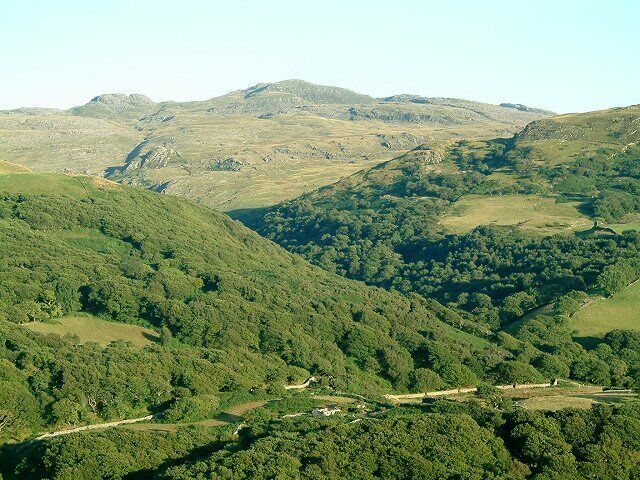 Une vallée bordée de forêts verdoyantes et dense, et parsemée de collines ondoyantes.