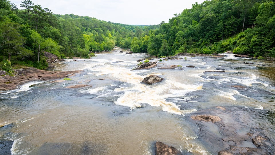 A river with turbulent waters, surrounded by dense forest.