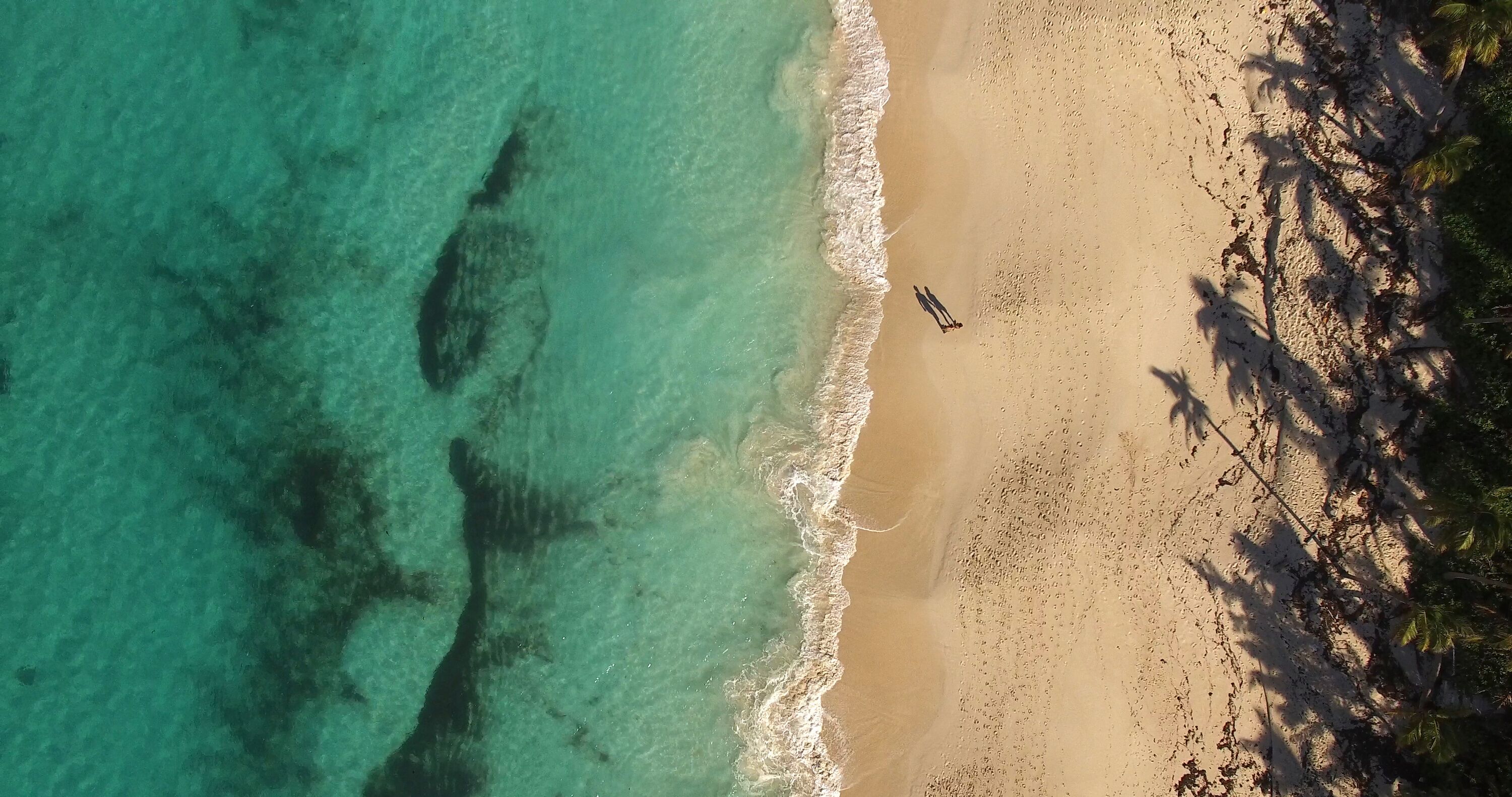 Une plage à l’eau turquoise et limpide, bordée d’un rivage sablonneux et de palmiers.
