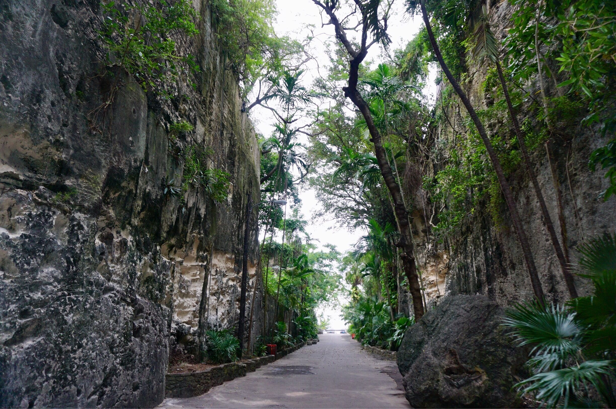 This pathway was just amazing 