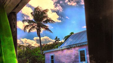 A house with a pink exterior, a palm tree, and a blue sky with clouds.