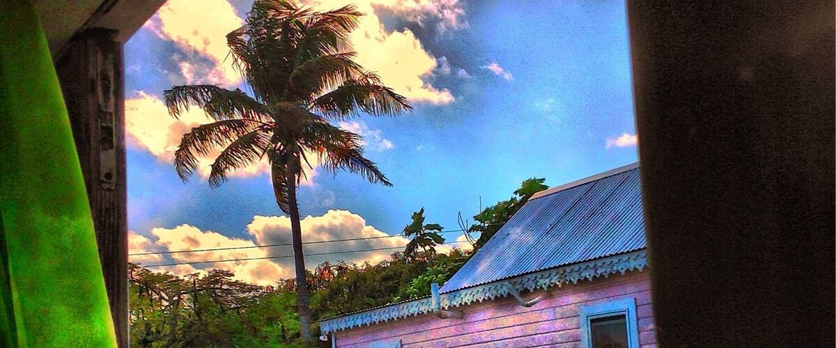 A house with a pink exterior, a palm tree, and a blue sky with clouds.