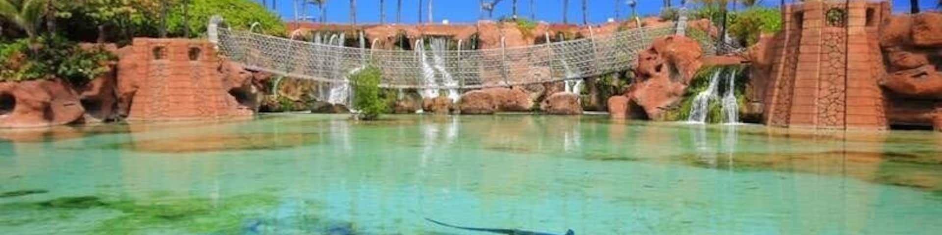 Sharks in Atlantis Resort
