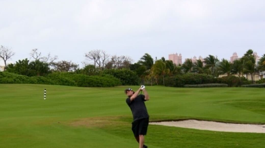 Good day! Royal Towers over my left