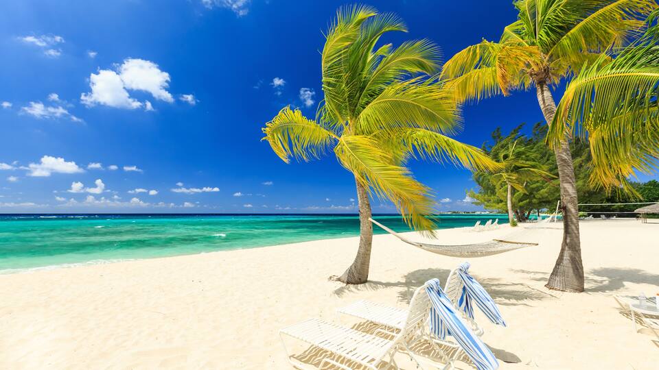 A beach with white sand, palm trees, and turquoise water under a clear blue sky.