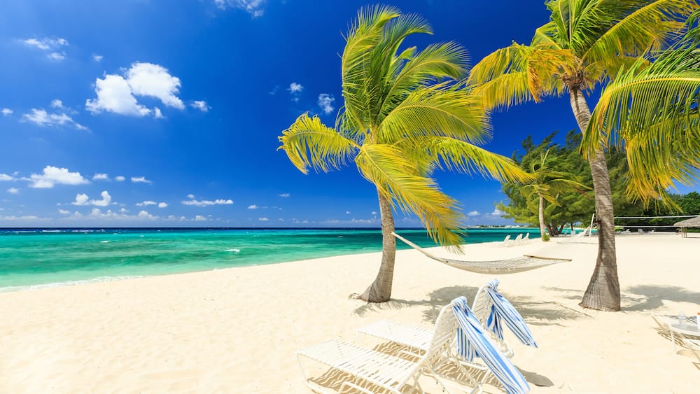 Beach chairs and palm trees at 7 mile beach, Grand Cayman, Shutterstock ID 264867248, purchase_order: SP-1269 HA 2018 Batch 1, Order: , client: , other: