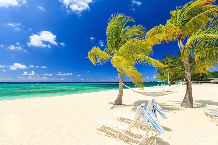 Beach chairs and palm trees at 7 mile beach, Grand Cayman, Shutterstock ID 264867248, purchase_order: SP-1269 HA 2018 Batch 1, Order: , client: , other: