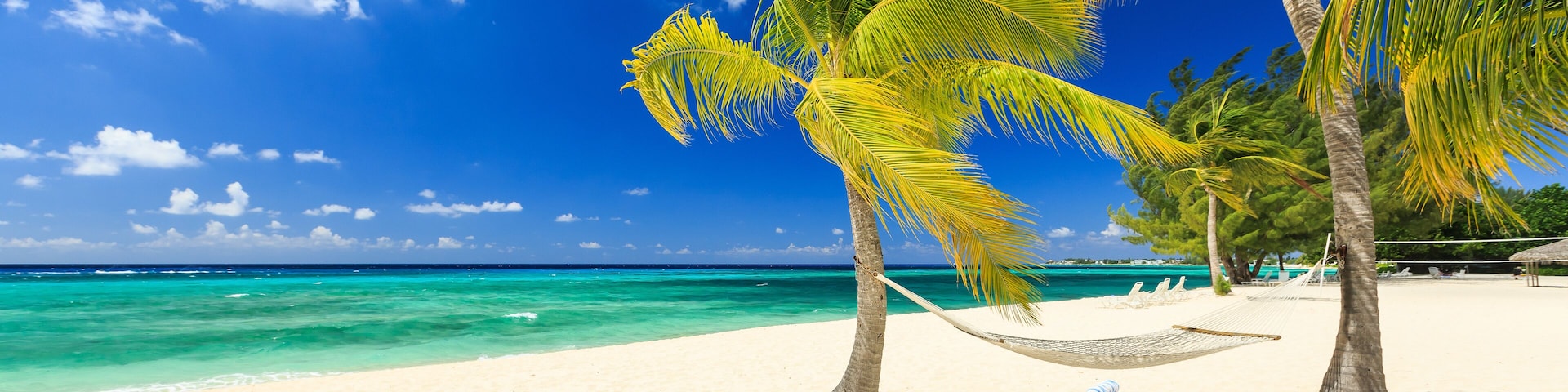 Beach chairs and palm trees at 7 mile beach, Grand Cayman, Shutterstock ID 264867248, purchase_order: SP-1269 HA 2018 Batch 1, Order: , client: , other: