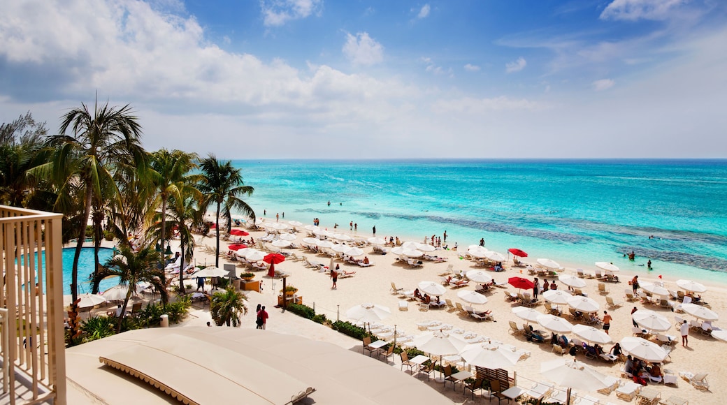 Vacationers enjoying the sun on Grand Cayman's Seven Mile Beach