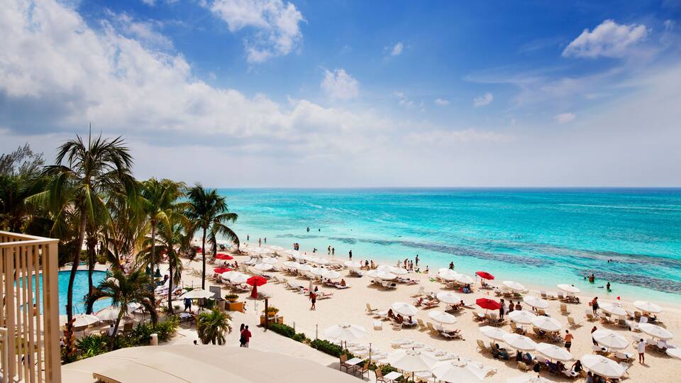 A beach with clear turquoise water, palm trees, and sun loungers under umbrellas.