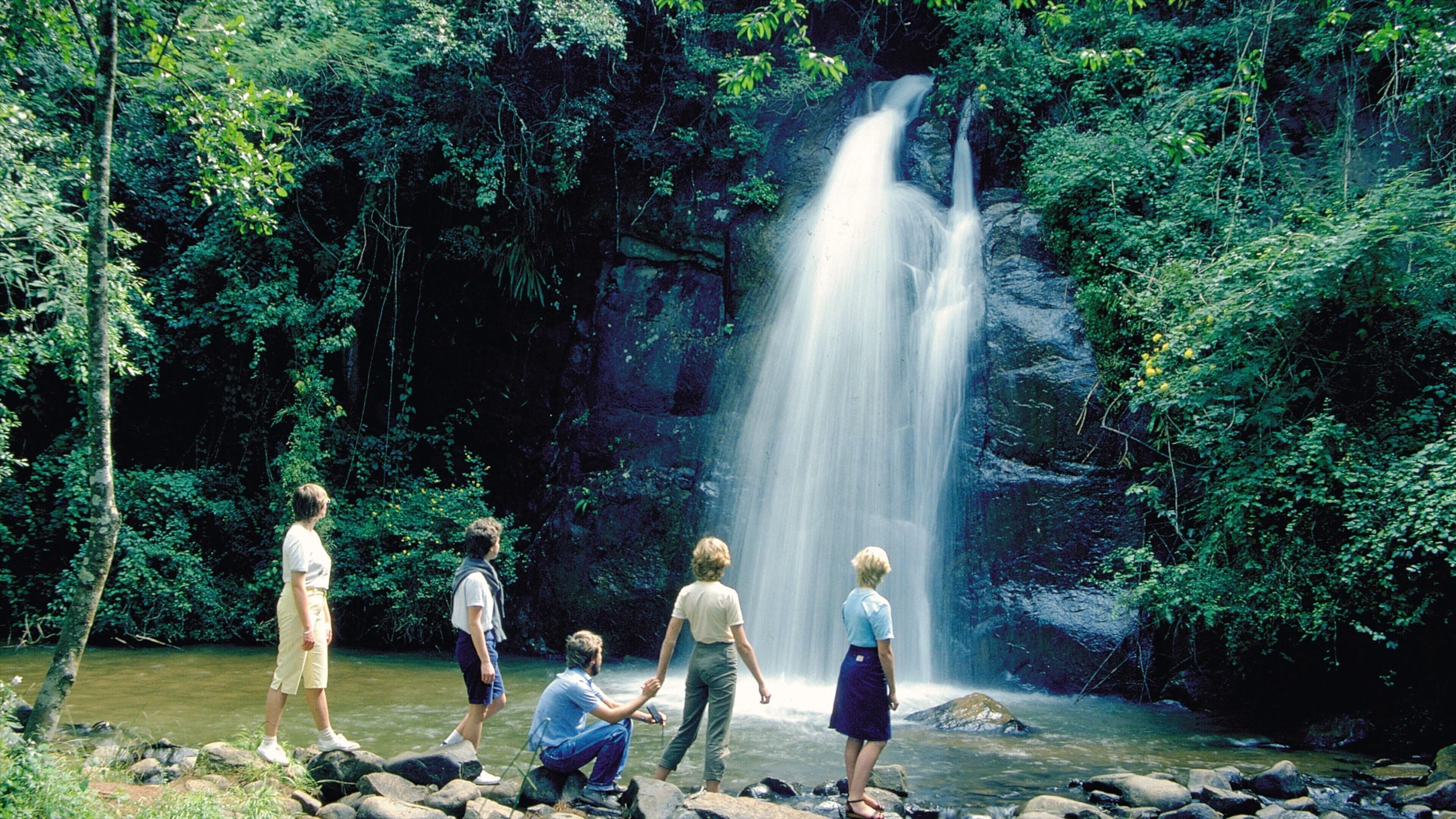 Sabie which includes a waterfall and rainforest as well as a small group of people