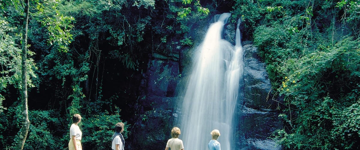 Sabie which includes a waterfall and rainforest as well as a small group of people