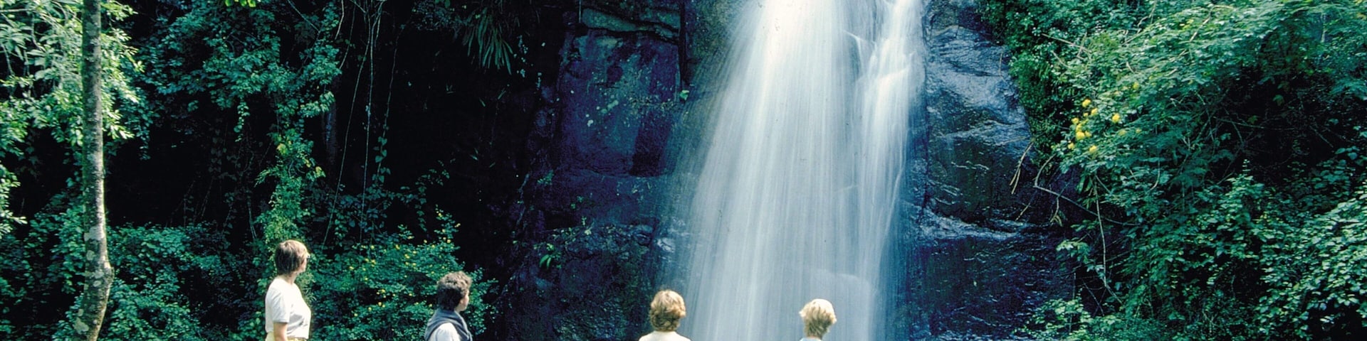 Sabie which includes a waterfall and rainforest as well as a small group of people