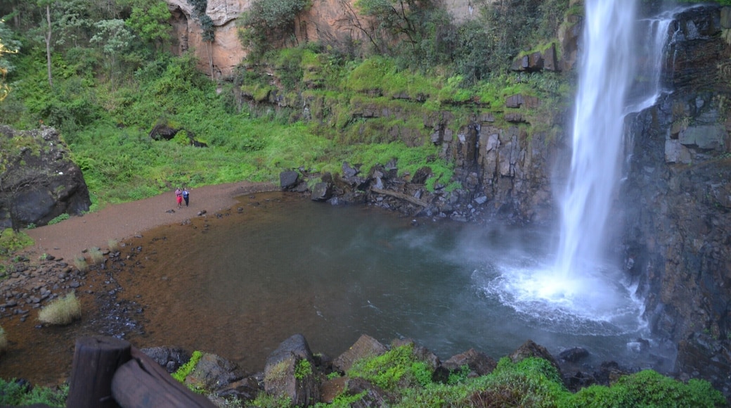 Lone Creek Waterfall, just outside small town Sabie in the east of South Africa. A drop of something close to 80 meters. It is not Victoria Falls, but it still is a nice fall. And the area is worth visiting, as there are many more waterfalls and trekking and mountain biking opportunities everywhere. A nice and relaxing part of South Africa.
http://www.earthseeing.com/visiting-south-africa-for-the-first-time/
#sabie #southafrica #africa #waterfall #nature #hiking
