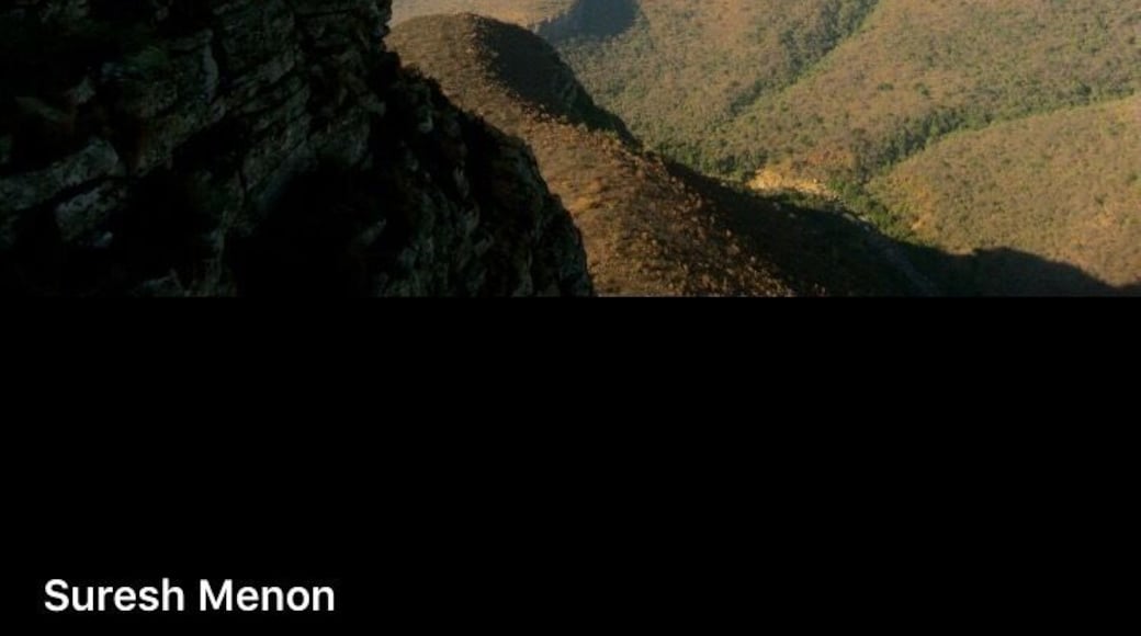 Only canyon lush green in colour