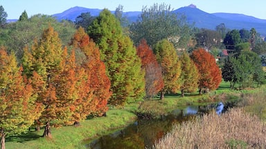 Sabie which includes forest scenes, autumn leaves and a river or creek