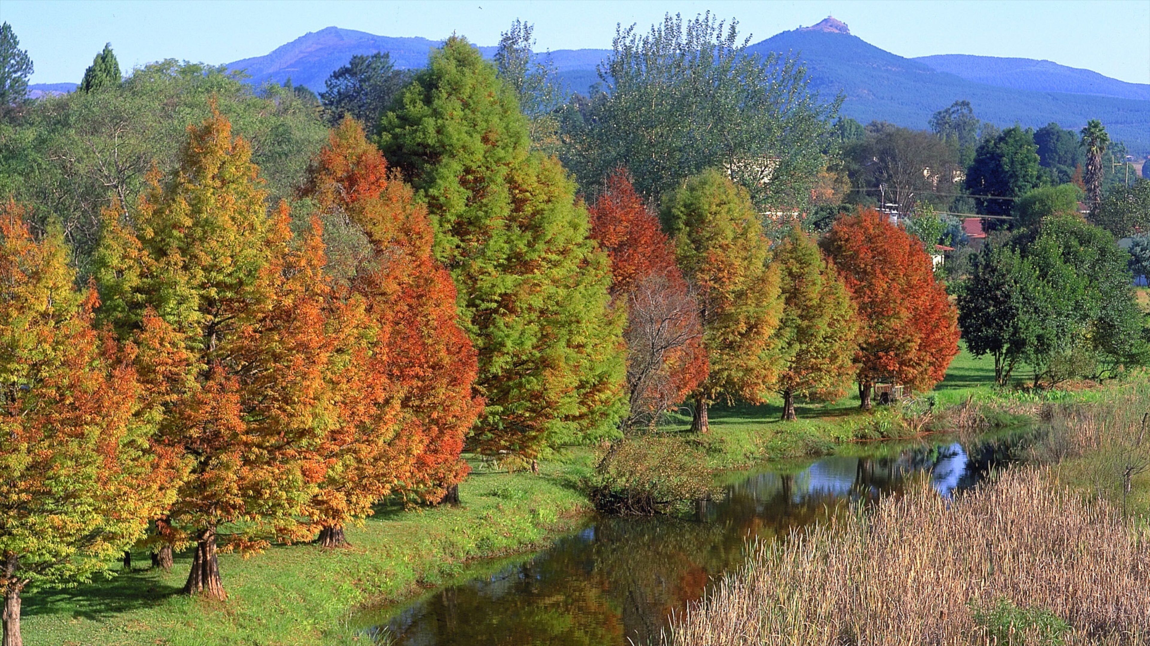 A serene landscape with a pond, autumn-colored trees, and a mountain in the background.