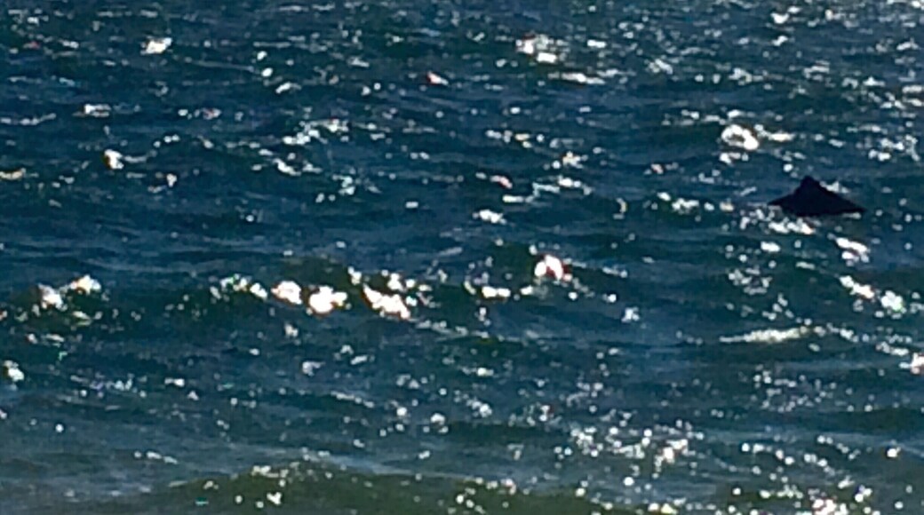 View from the beach, Amity Point, Stradbroke island. #amity #stradbroke #queensland #australia